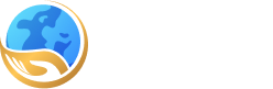 The Center For Financial Independence